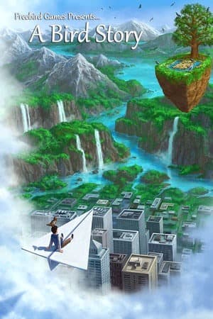 鸟的故事