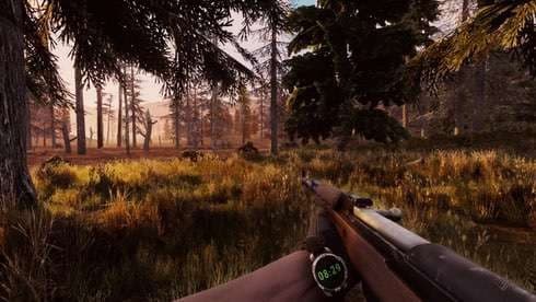 Will To Live Online screenshot 3