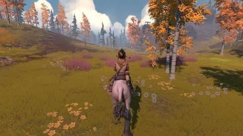 Pine screenshot 1