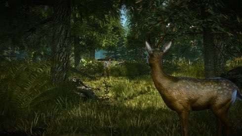 Ведьмак 2 Убийцы королей screenshot 2