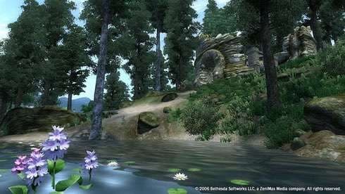 The Elder Scrolls 4: Oblivion Game of the Year Edition screenshot 3