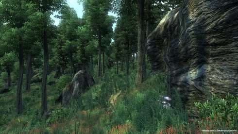 The Elder Scrolls 4: Oblivion Game of the Year Edition screenshot 2