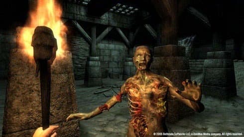 The Elder Scrolls 4: Oblivion Game of the Year Edition screenshot 6
