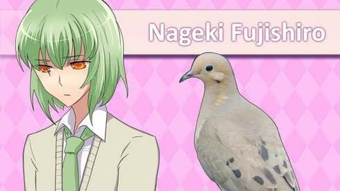 Hatoful Boyfriend screenshot 5