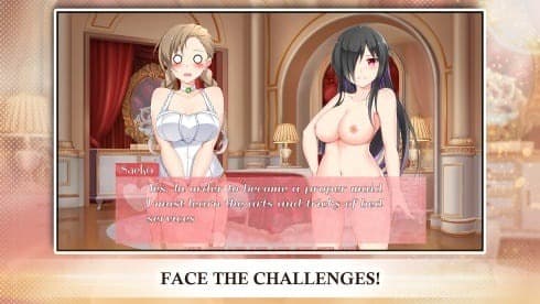 Himeko Maid screenshot 4