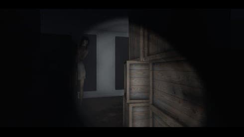 Within Skerry screenshot 6