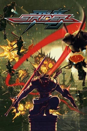 STRIDER