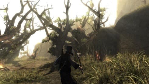 Risen screenshot 1