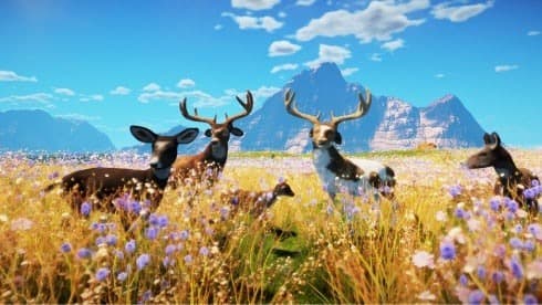 Animallica screenshot 3