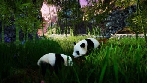 Animallica screenshot 5