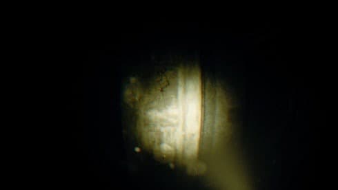 REC: Beyond The Lens screenshot 5