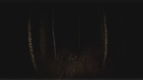 Paranormal VHS screenshot 1