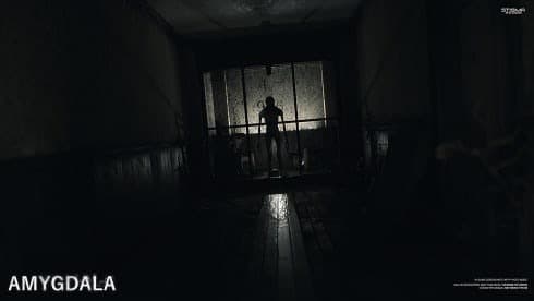 Amygdala screenshot 5