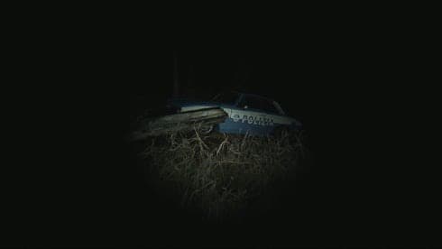 HELLSEED screenshot 4