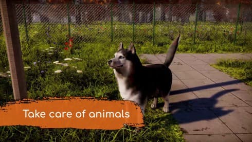 Animal Shelter 2 screenshot 5