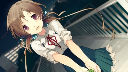 Love, Elections, and Chocolate screenshot 2