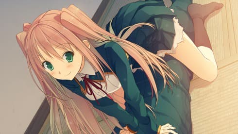 Love, Elections, and Chocolate screenshot 6
