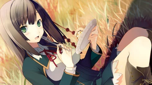 Love, Elections, and Chocolate screenshot 3