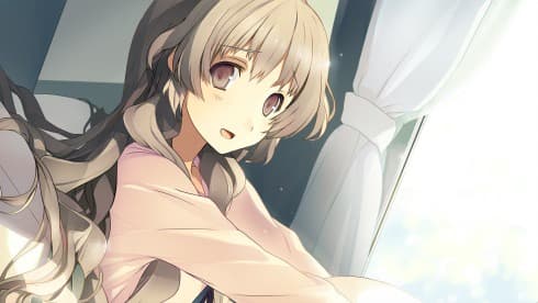 Love, Elections, and Chocolate screenshot 4