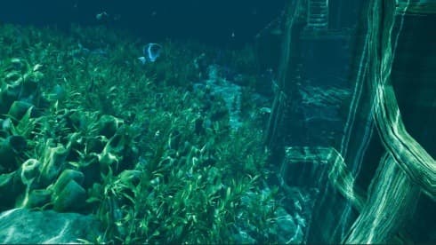 Island Notes screenshot 5